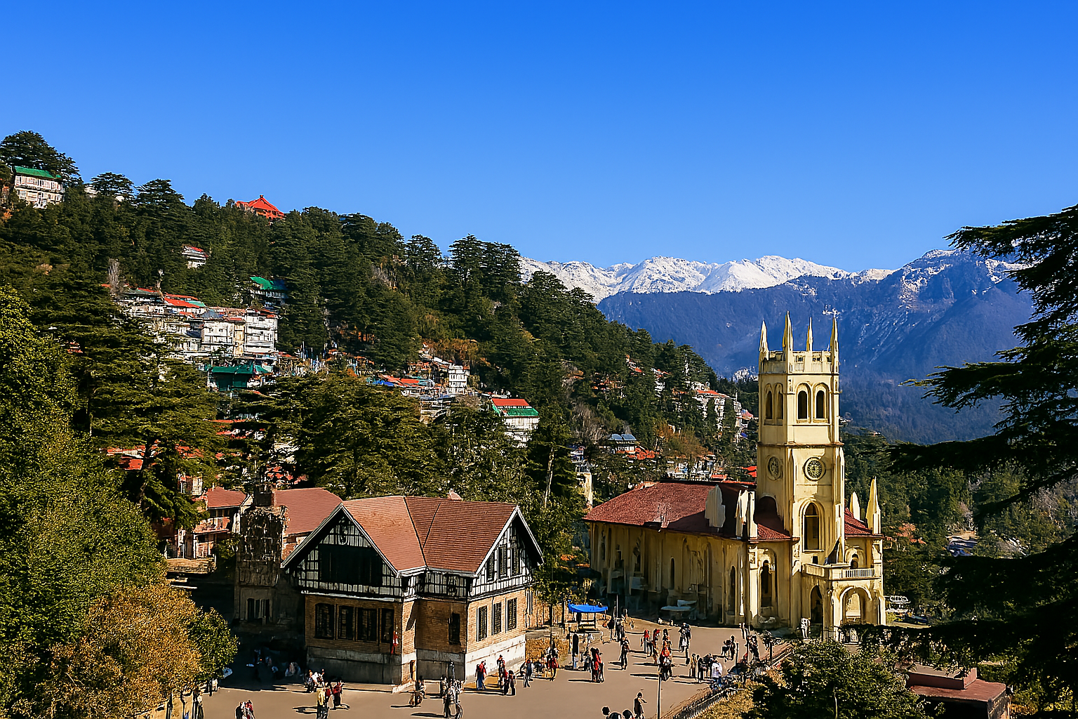 Shimla1